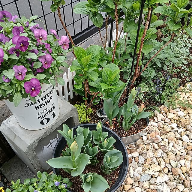 kaanaさんの部屋