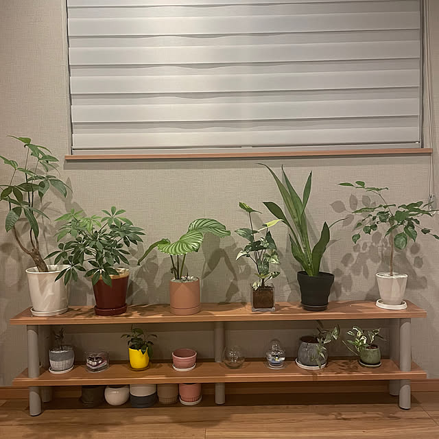 ikuzakさんの実例写真