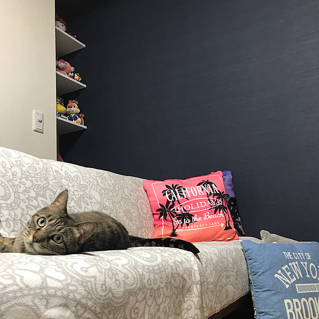 m.and.mさんの実例写真