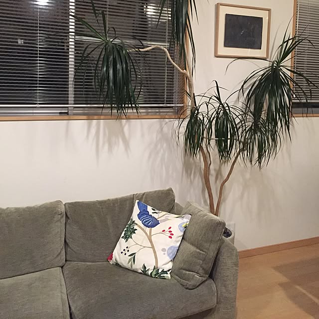 riiriiさんの実例写真