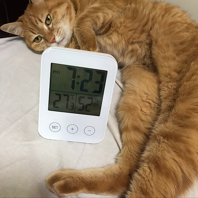 uさんの部屋