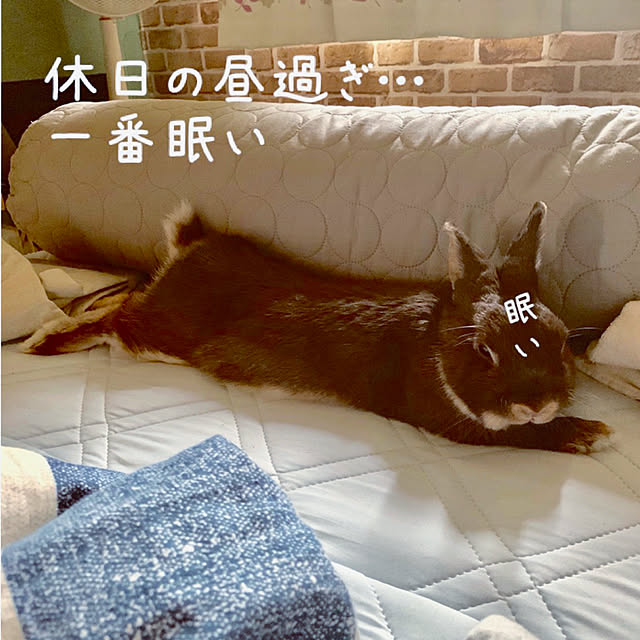 mo-nosukeさんの実例写真