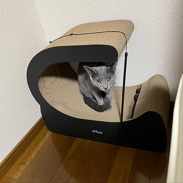 kyonさんの実例写真