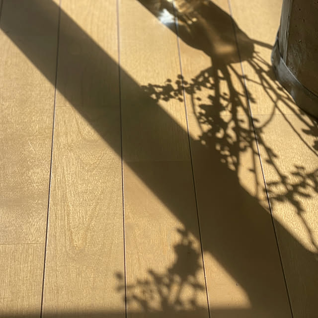 Makoさんの実例写真