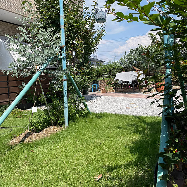 ronronさんの部屋