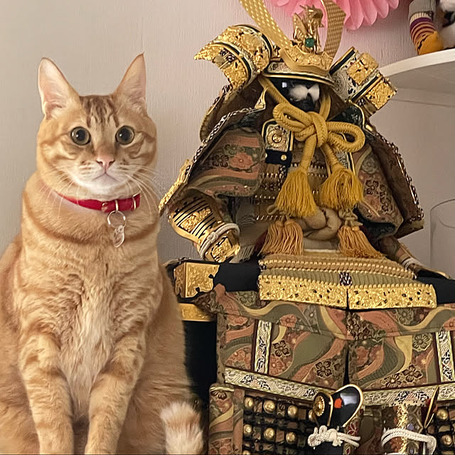 mamiさんの実例写真