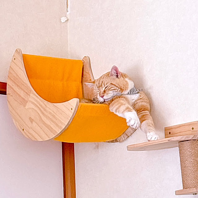 moolさんの実例写真