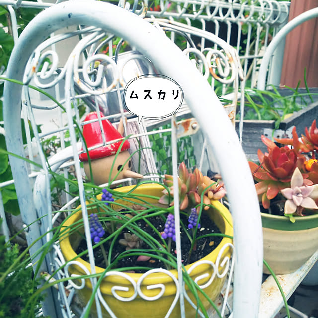 junさんの実例写真