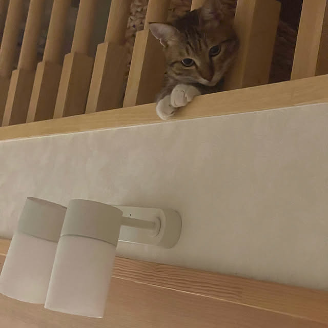 manekinekoさんの実例写真