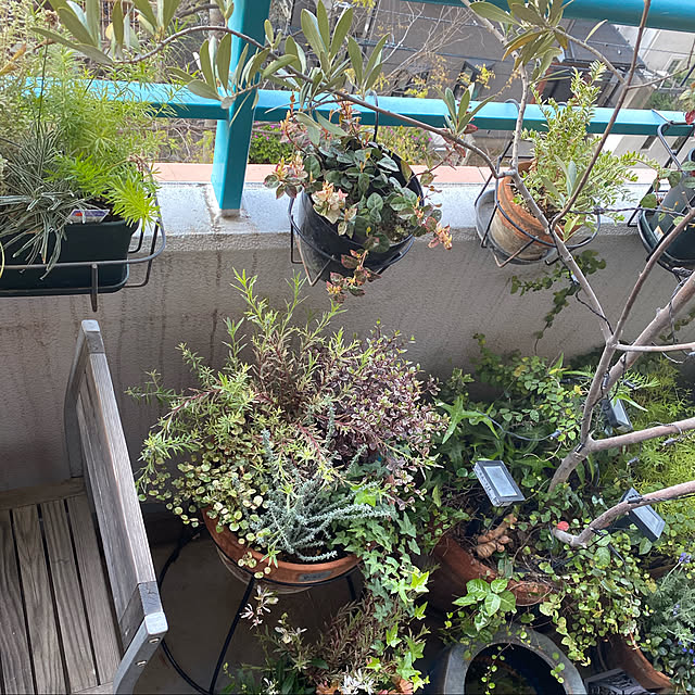 amyさんの実例写真