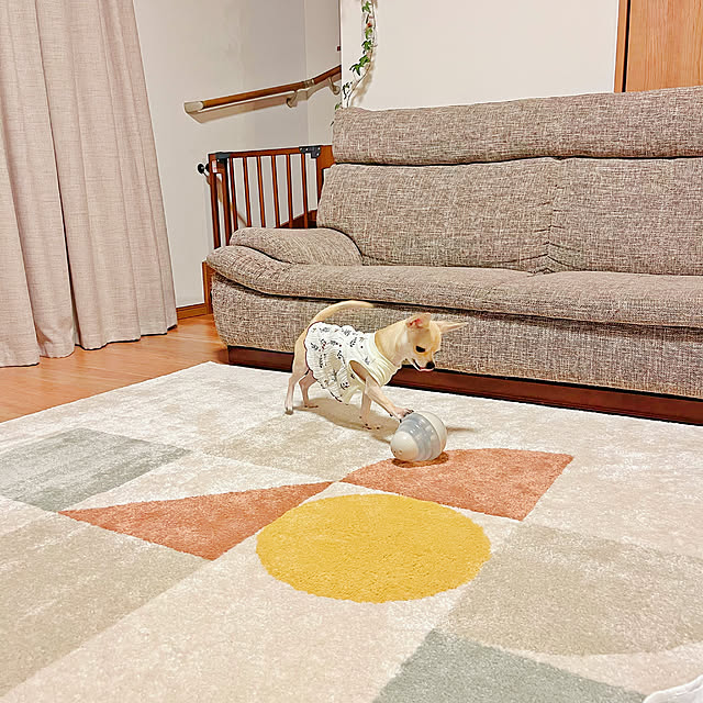 star..さんの部屋