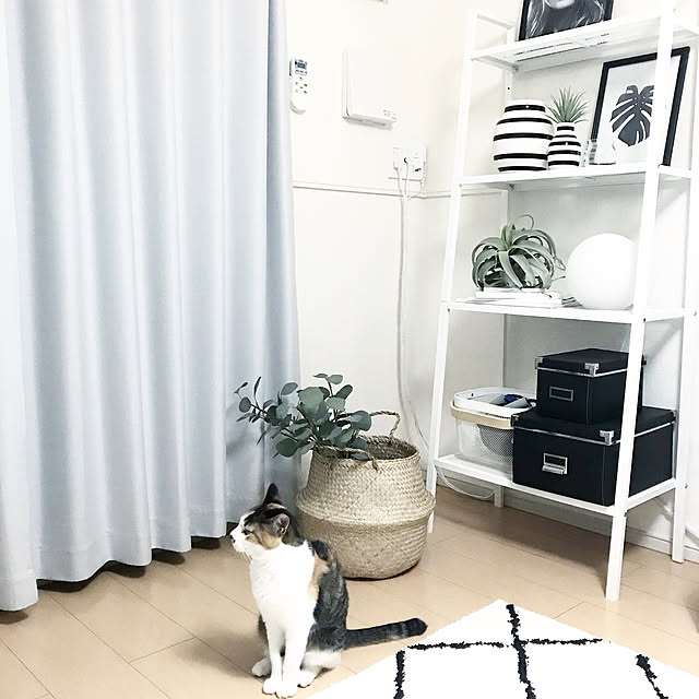 Kさんの実例写真