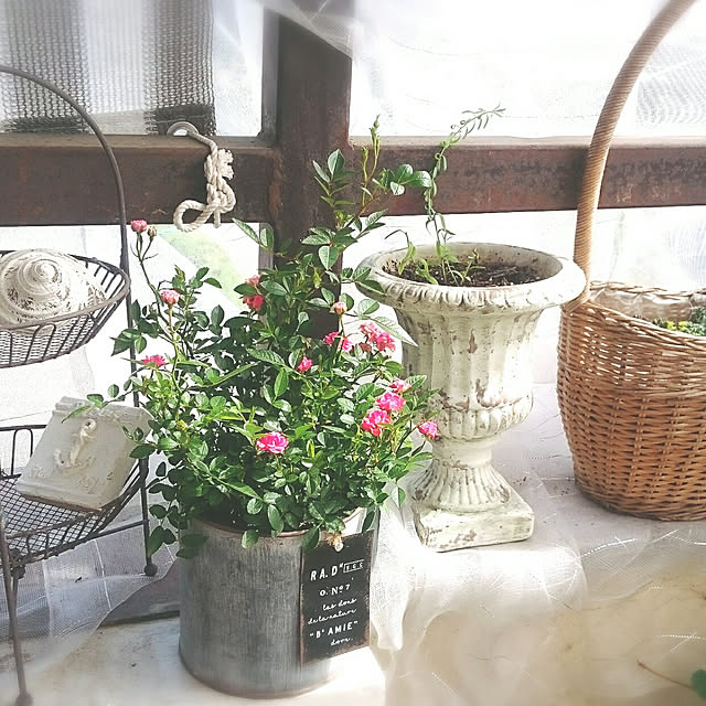 miho.okuさんの実例写真
