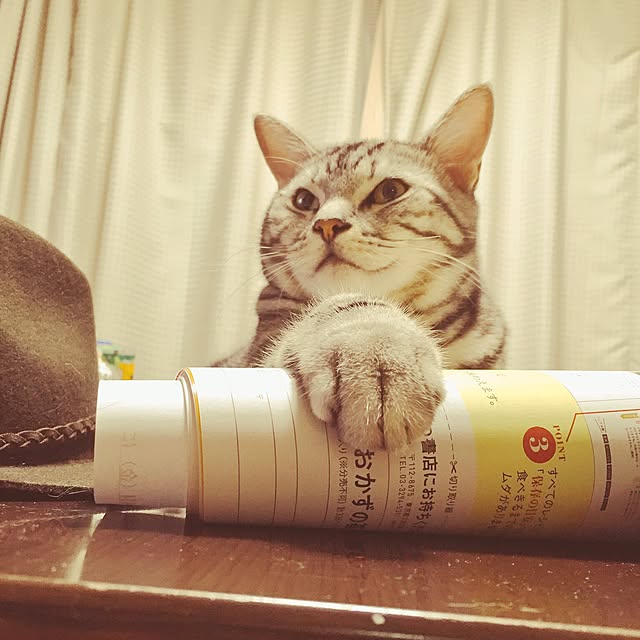 hiro_mashさんの実例写真