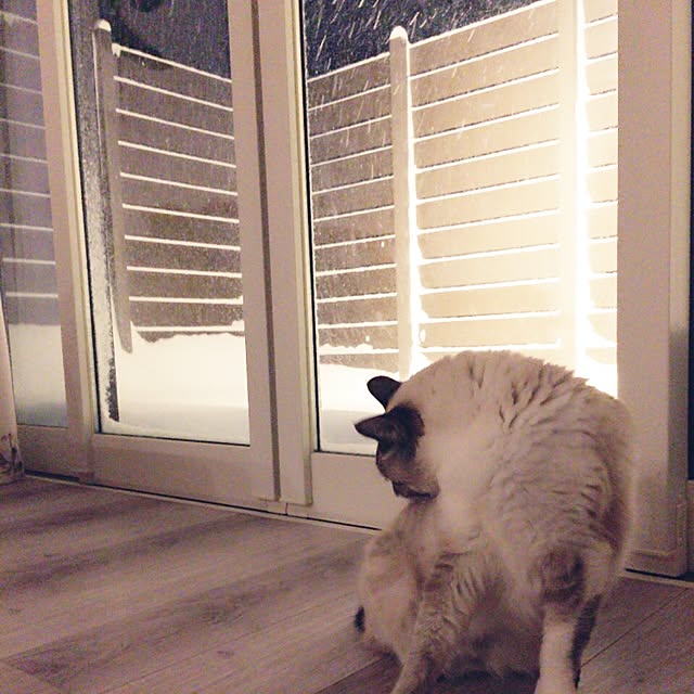 Mikaさんの実例写真
