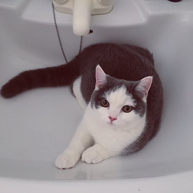 yunさんの実例写真