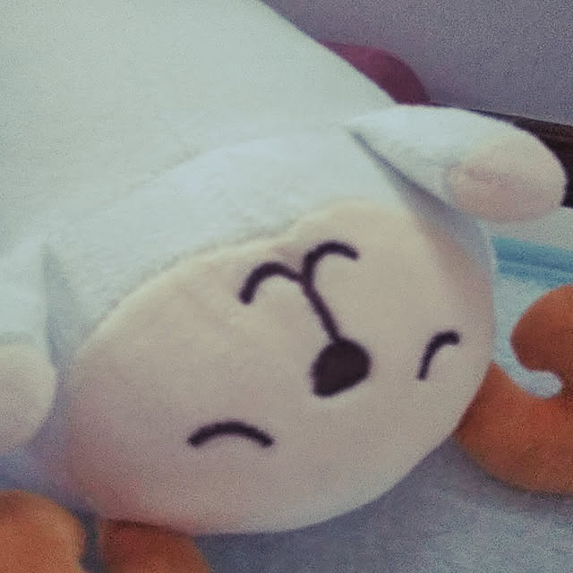 kiraさんの実例写真