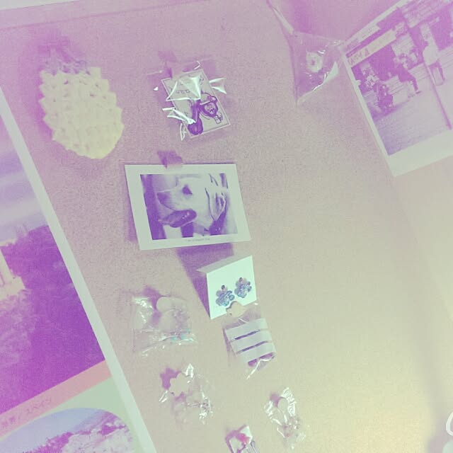 0wv3865yuri1さんの実例写真