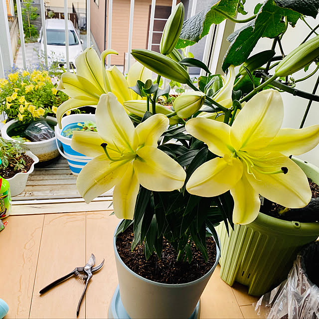 a599153689さんの実例写真