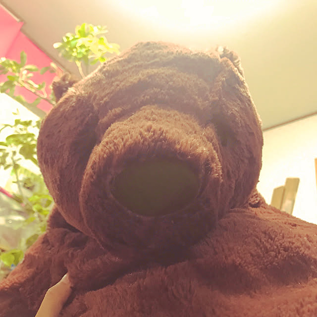 majoさんの実例写真