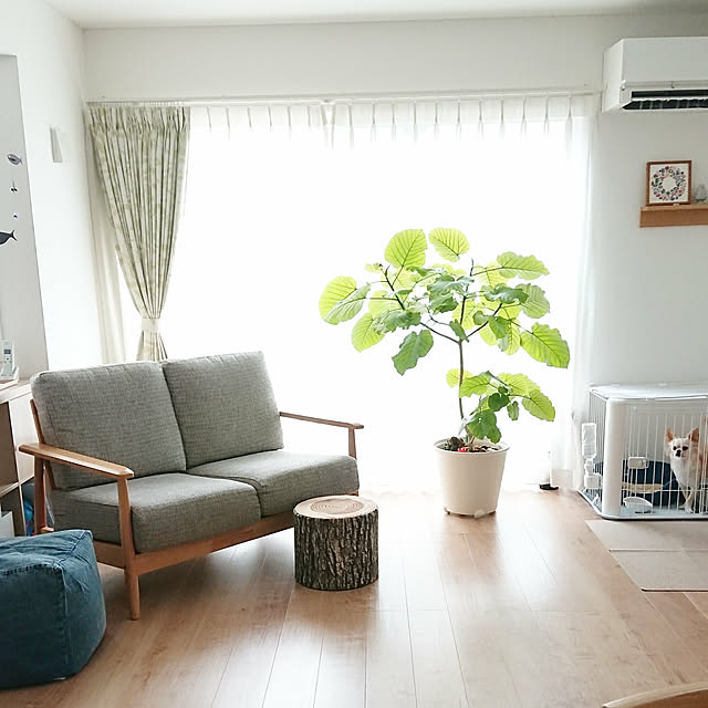 __home_m.さんの実例写真