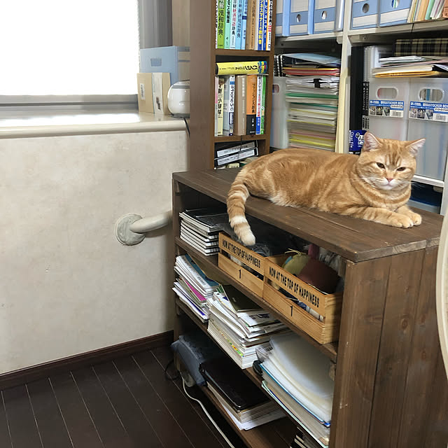 Atelier.mさんの実例写真