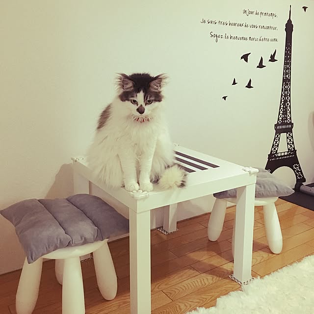 mikaさんの実例写真