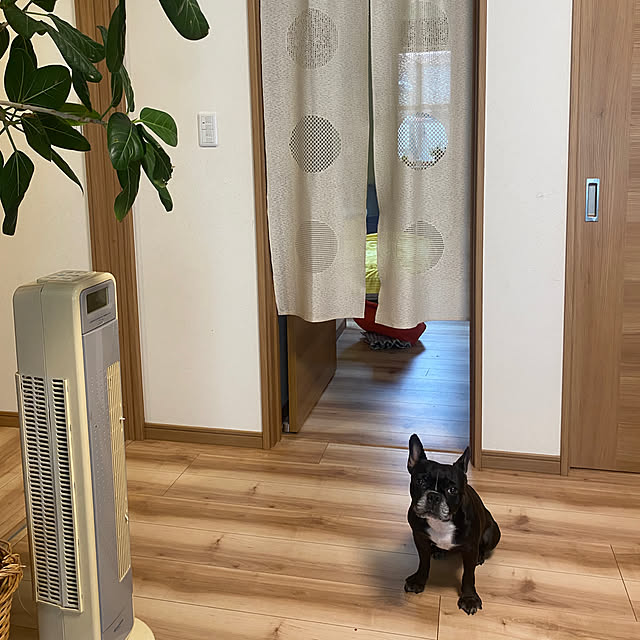 kotaroさんの部屋