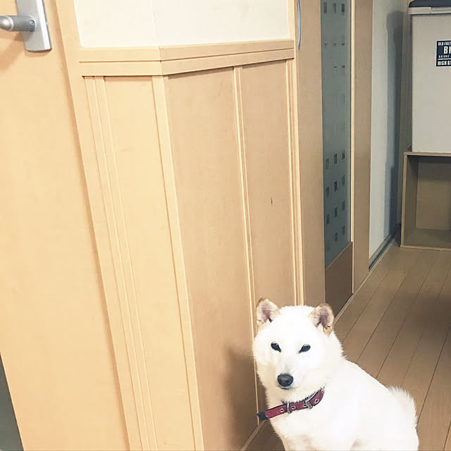 pillowsさんの実例写真