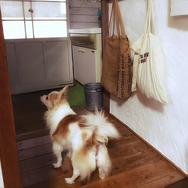seroriさんの実例写真