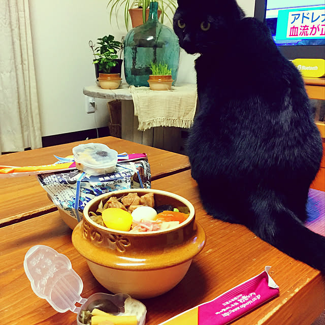 nanaさんの実例写真