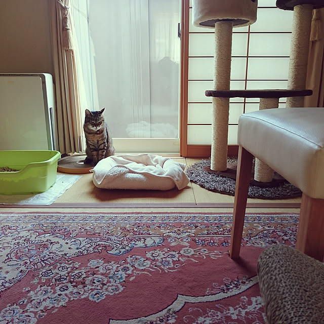 lilyさんの実例写真