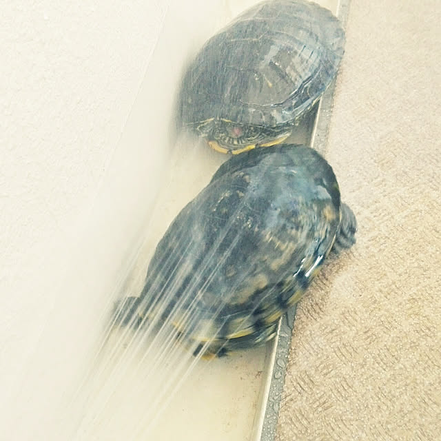 nana.maroさんの実例写真