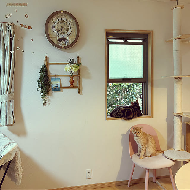 chiiさんのお部屋の写真