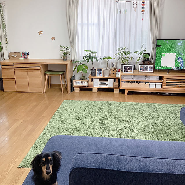 yukoさんの実例写真