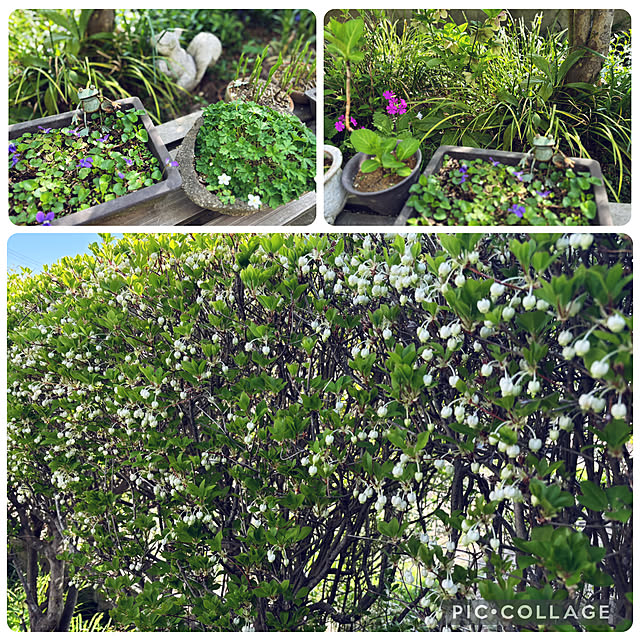 CoCo0617さんの部屋