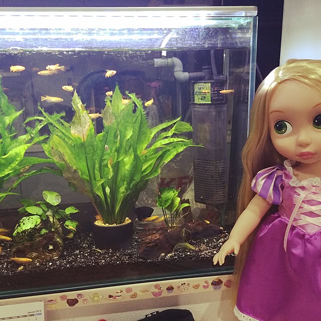 sars1129さんの実例写真