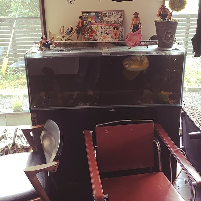 実例写真