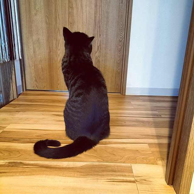 hihaさんの実例写真