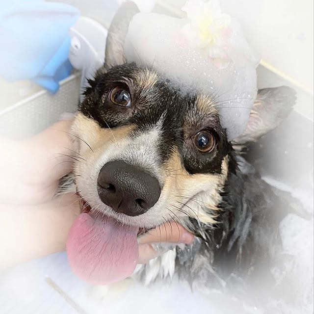 Ruiさんの実例写真