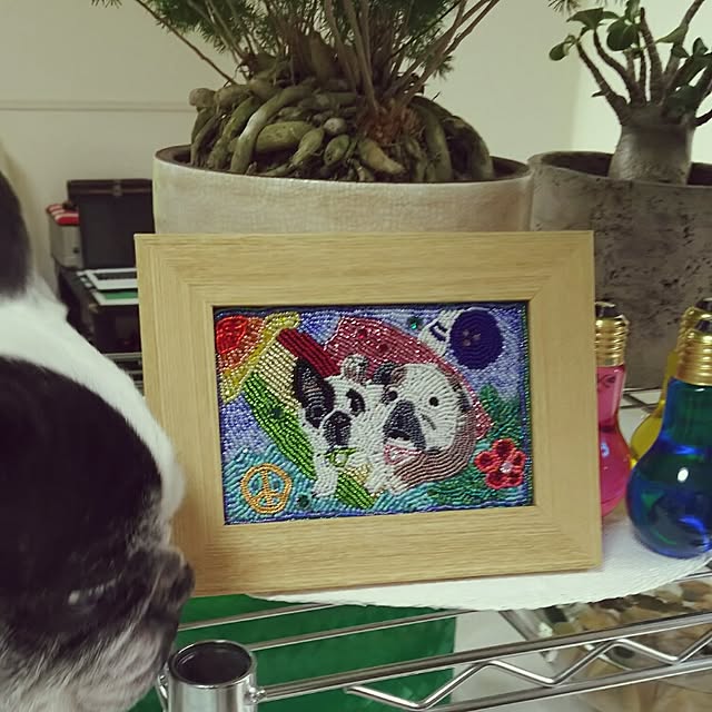 panchobiさんの実例写真