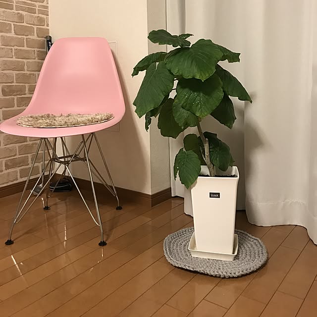 monさんの実例写真