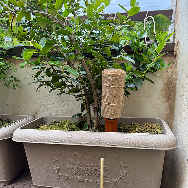 tabasaさんの部屋