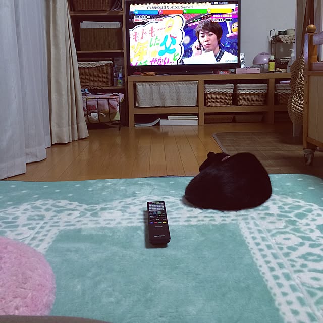 ARASHIさんの実例写真