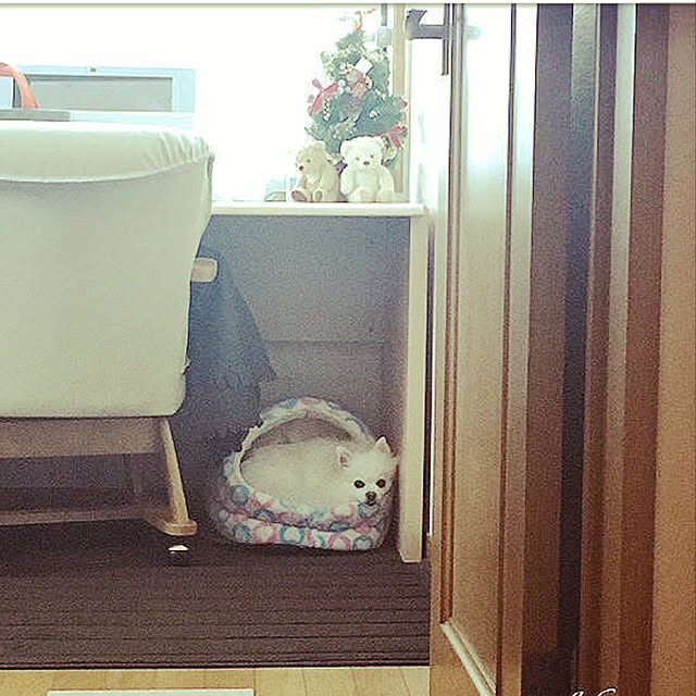 ninoninoさんの実例写真