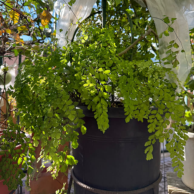 Aqettyさんの部屋