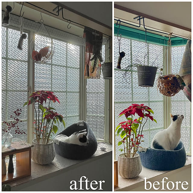 nobikoさんの部屋