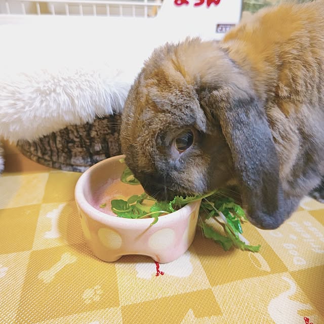mariaさんの部屋