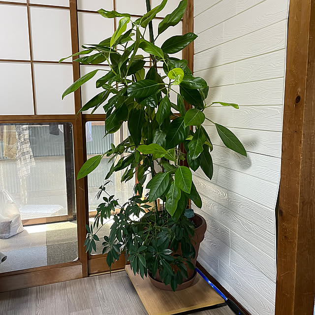 sugichanさんの部屋