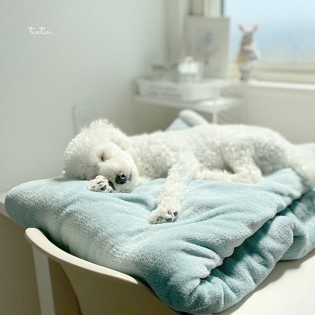 tintinさんの実例写真